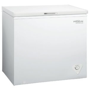 10.0 Cu. ft Chest Freezer