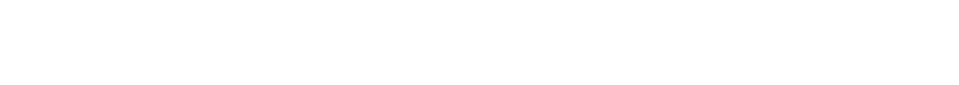 flipsavvyshop.com